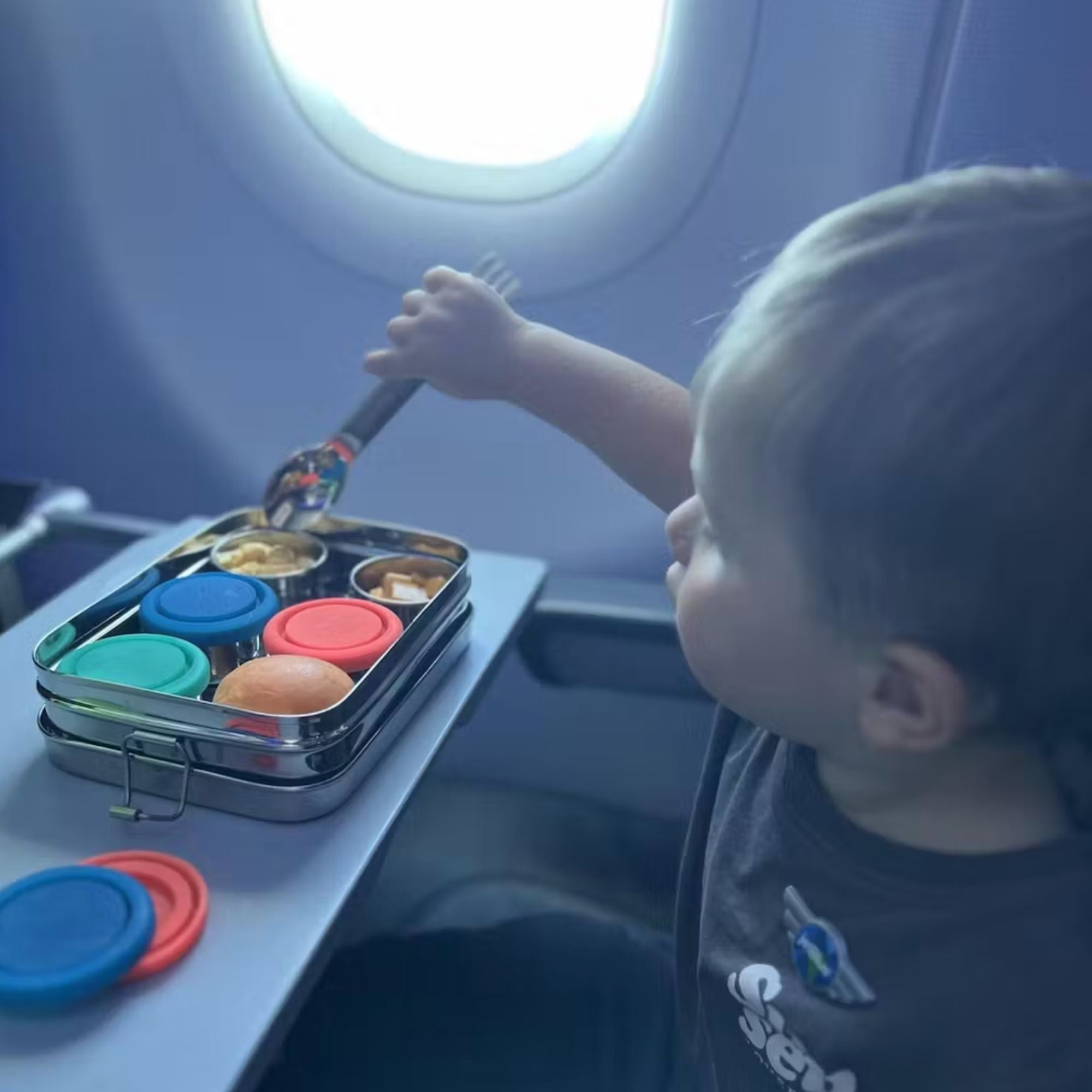 Stainless Steel Bento Box - 6 Compartment Kids