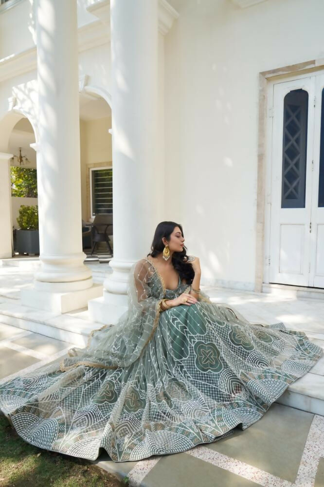 Dusty Green Butterfly Net Lehenga Choli With White Thread Embroidery
