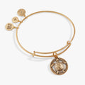 Expandable Turtle charm bangle bracelet on a white background.