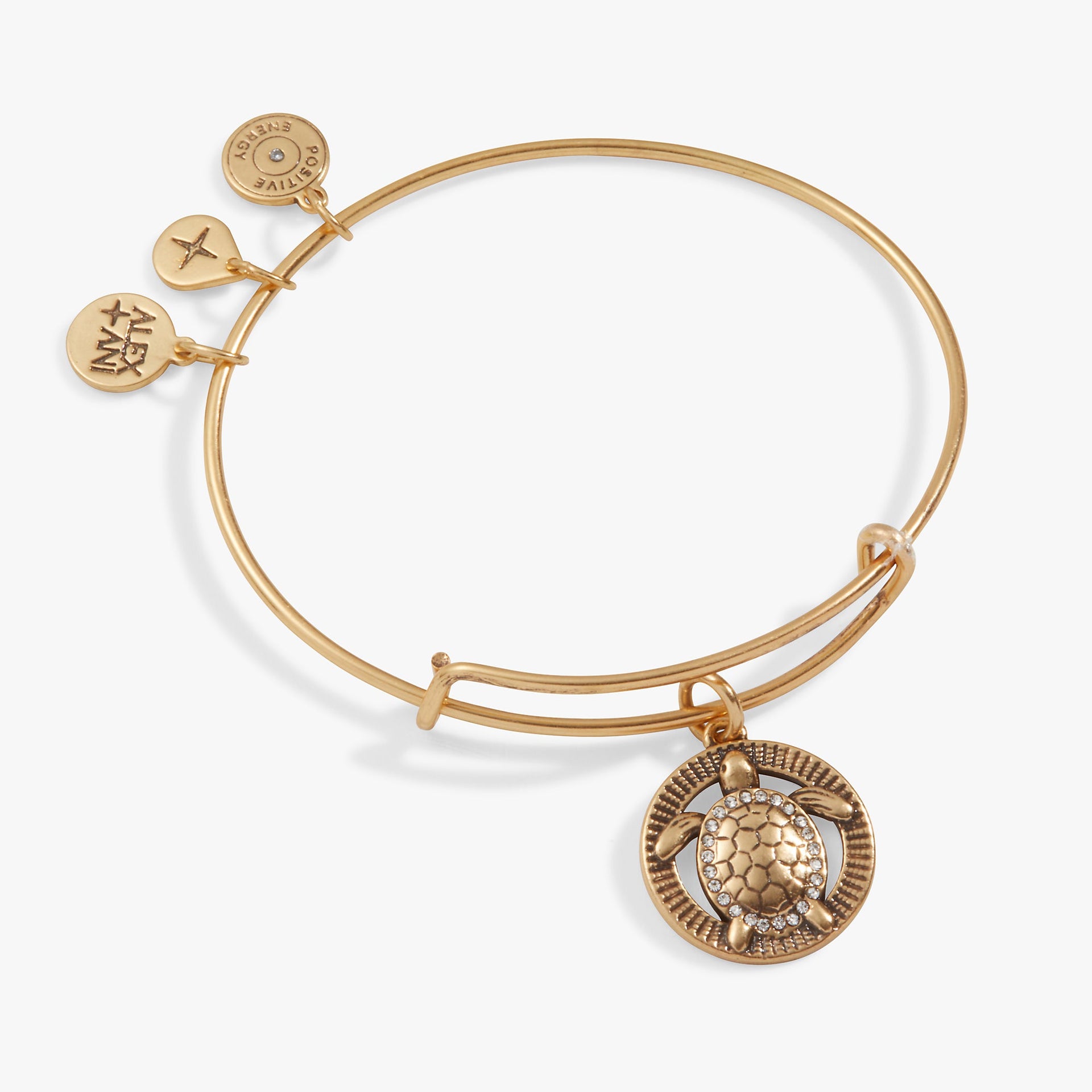Expandable Turtle charm bangle bracelet on a white background.
