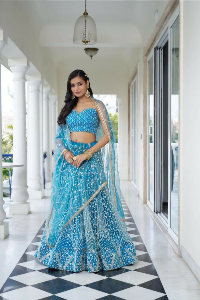Sky Blue Butterfly Net Lehenga with Cotton Thread and Sequence Work