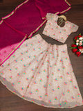 A beautiful peach organza silk lehenga choli for girls with fine embroidery.