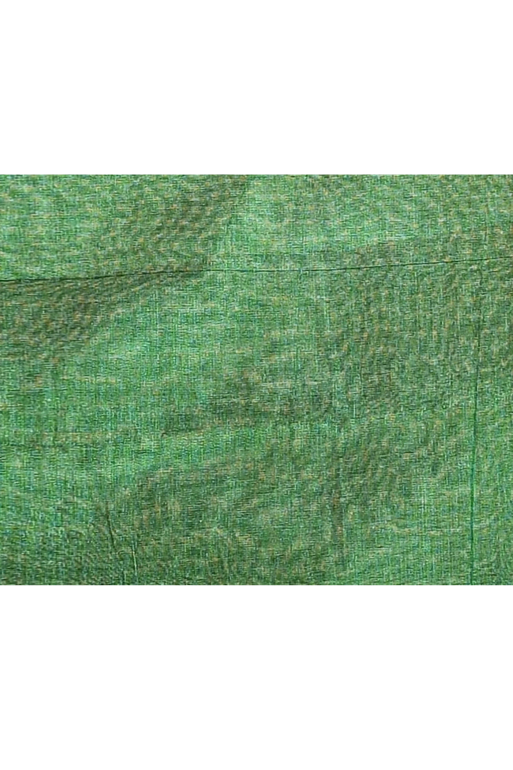 Women's Green Dual Tone Organic Tissue Saree with Blouse Piece