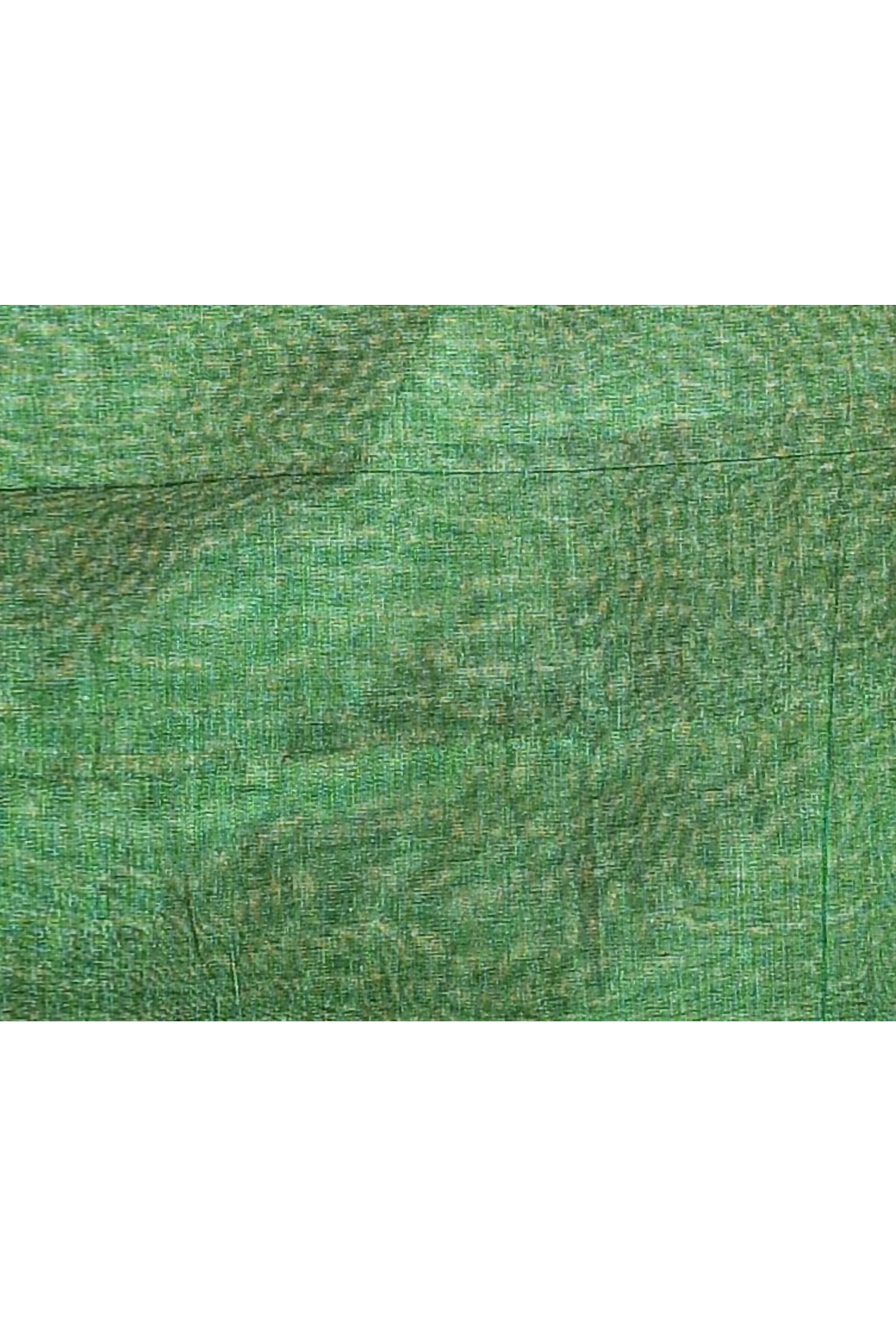 Women's Green Dual Tone Organic Tissue Saree with Blouse Piece
