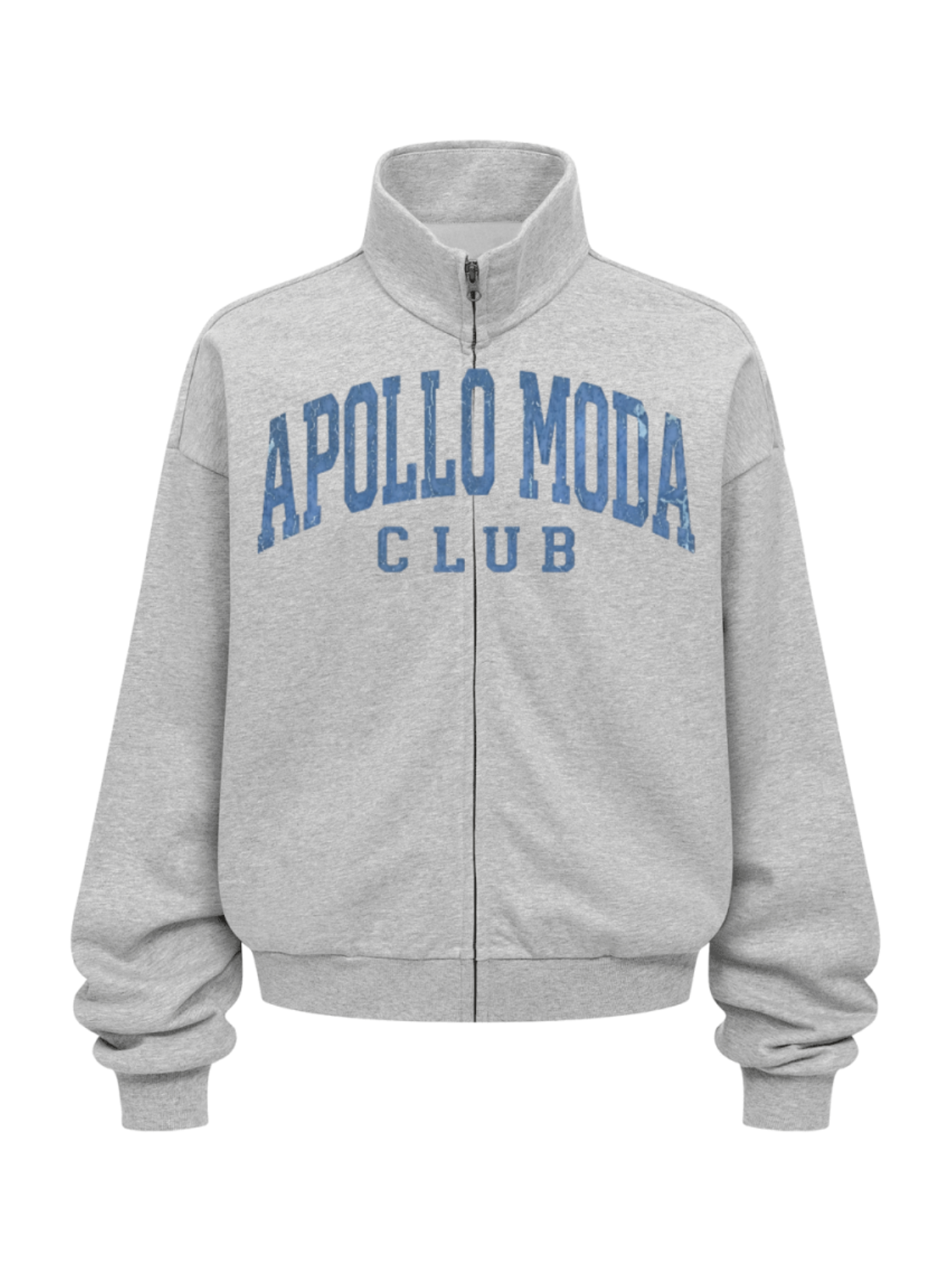 Oversized Collegiate Full-Zip Sweatshirt with Stand Collar