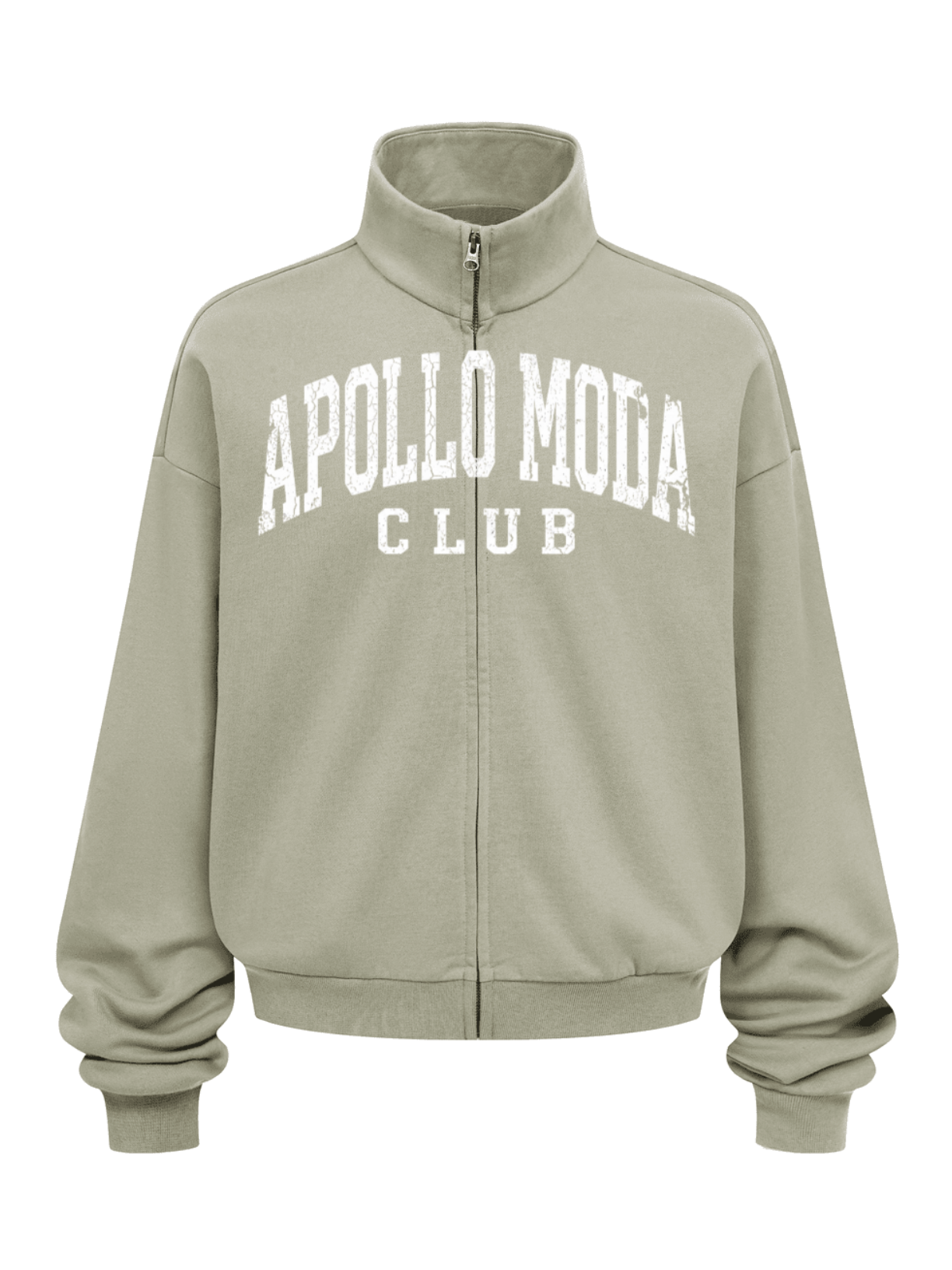Club Collegiate Oversized Full-Zip Sweatshirt in Sage Green