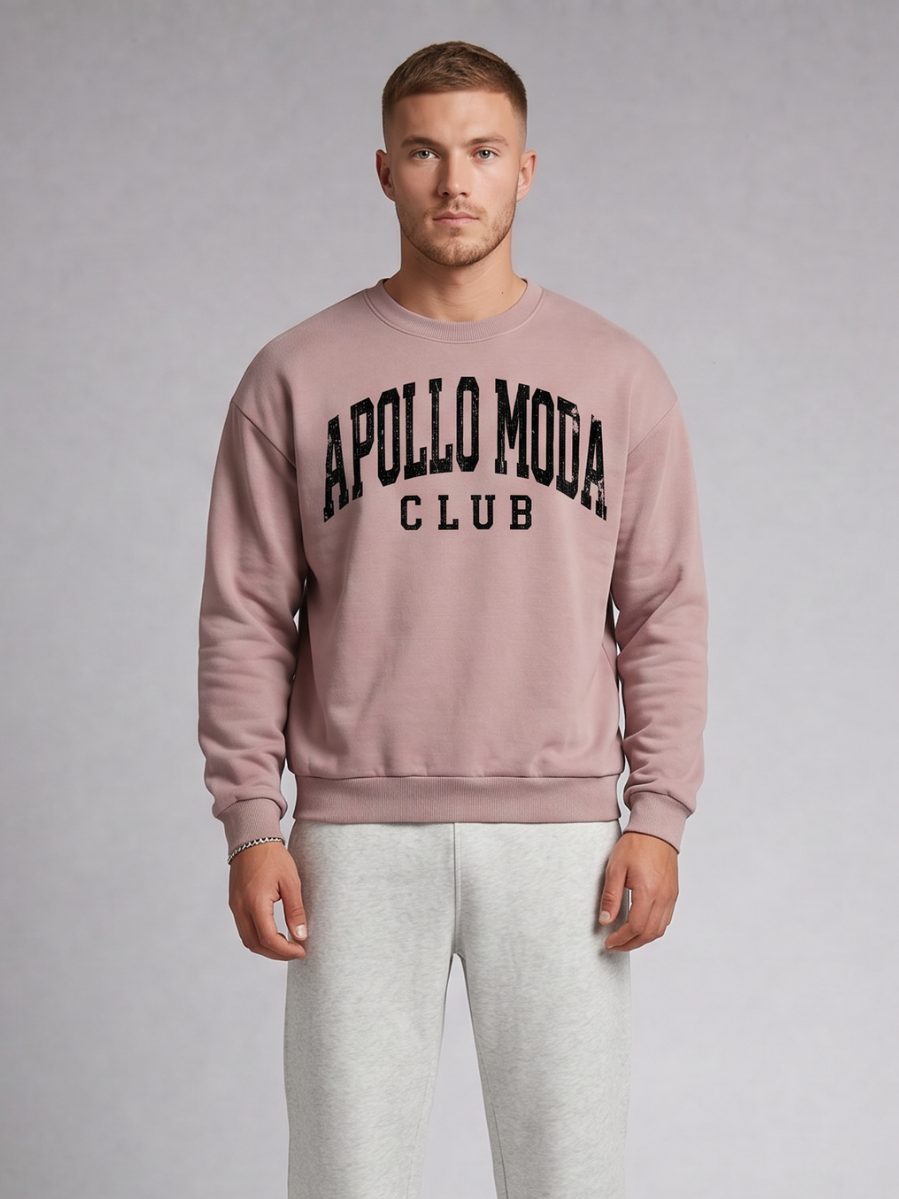Unisex oversized collegiate crewneck sweatshirt in dusty rose with distressed black arch lettering.