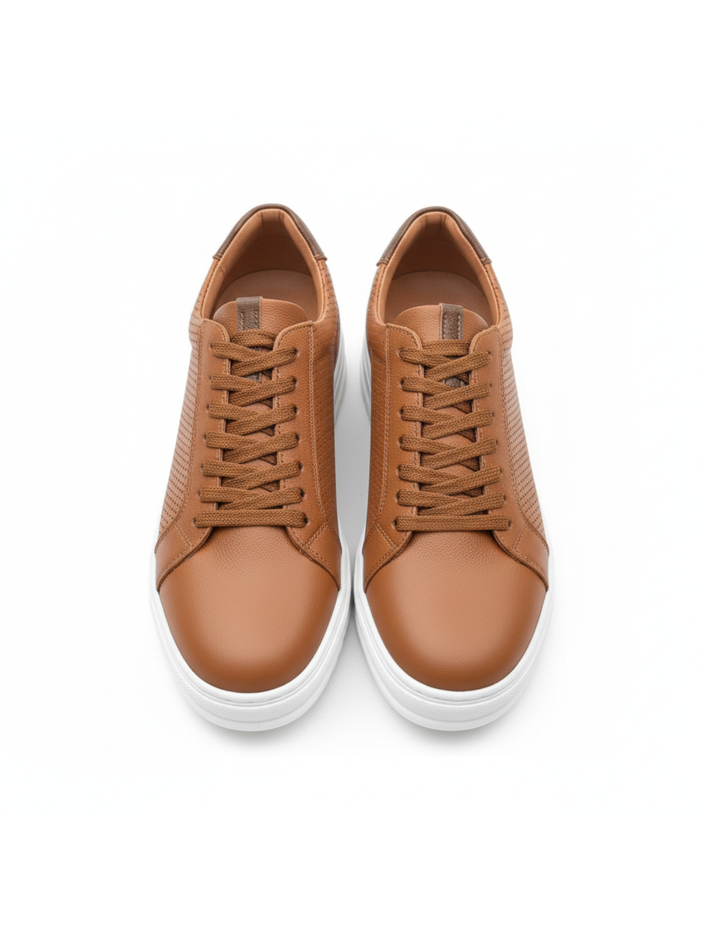 Men's Arion Terra