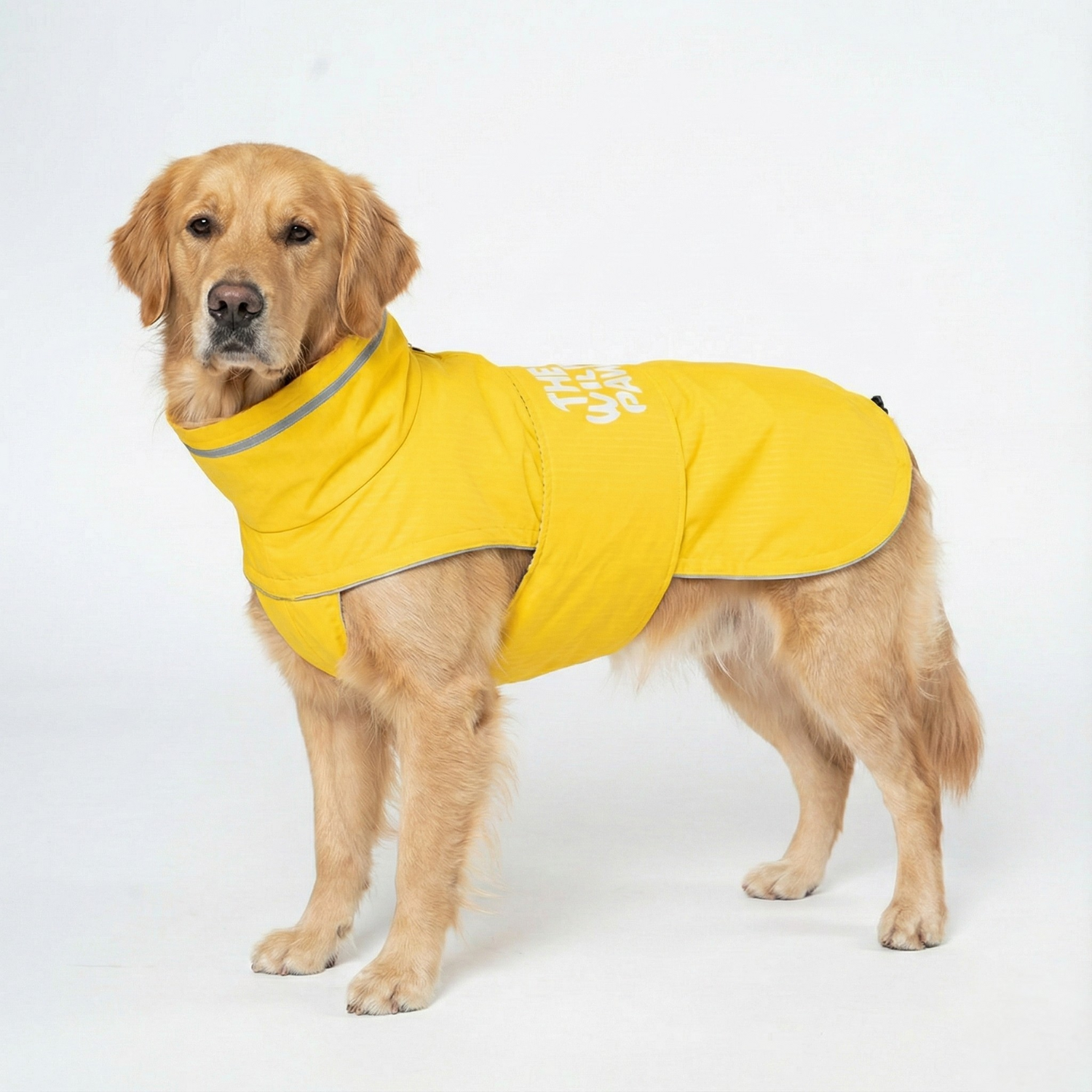 WildGuard Waterproof Rain Coat for Dogs