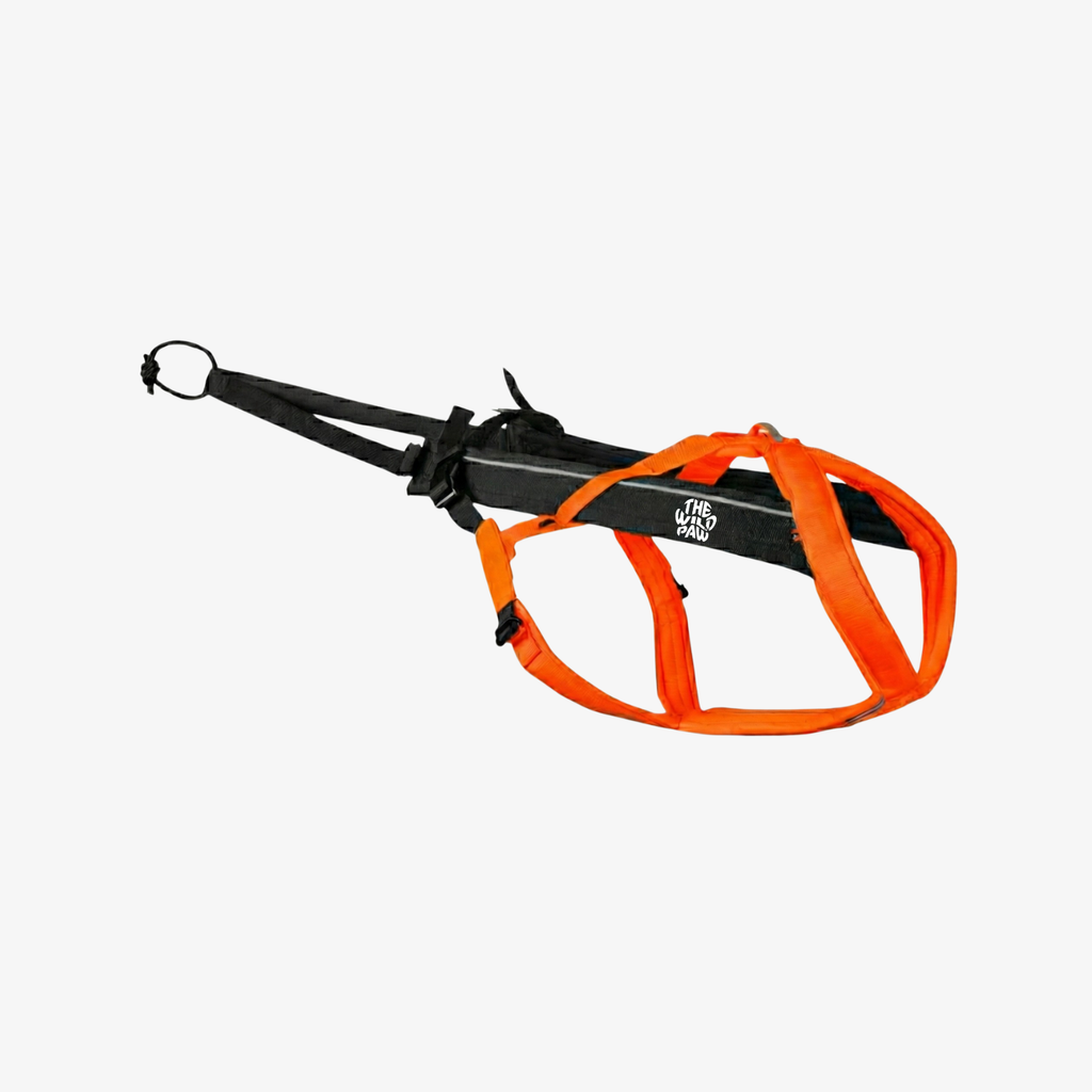 TrailControl No-Pull Dog Harness - High-Performance