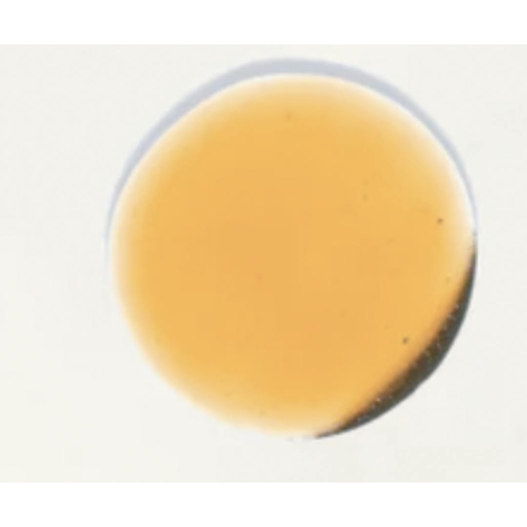 TIGHT AND BRIGHT, an Advanced Gentle Phyto-Retinol and Vitamin C Face Serum, 12 Innovative Technologies, 55% High-Performance Cosmeceuticals