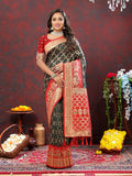 Green and Red Patola silk saree with detailed Meenakari woven patterns