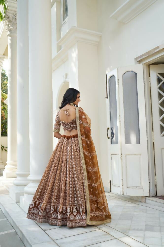 Brown Butterfly Net Lehenga Choli with White Thread Embroidery