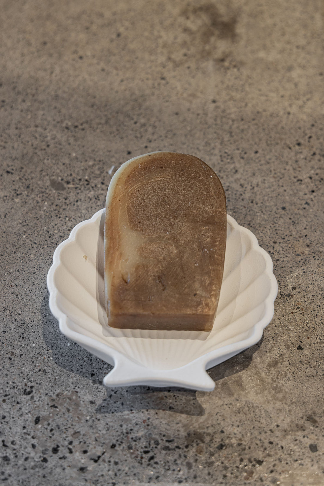 Stucco Shell Trinket Tray