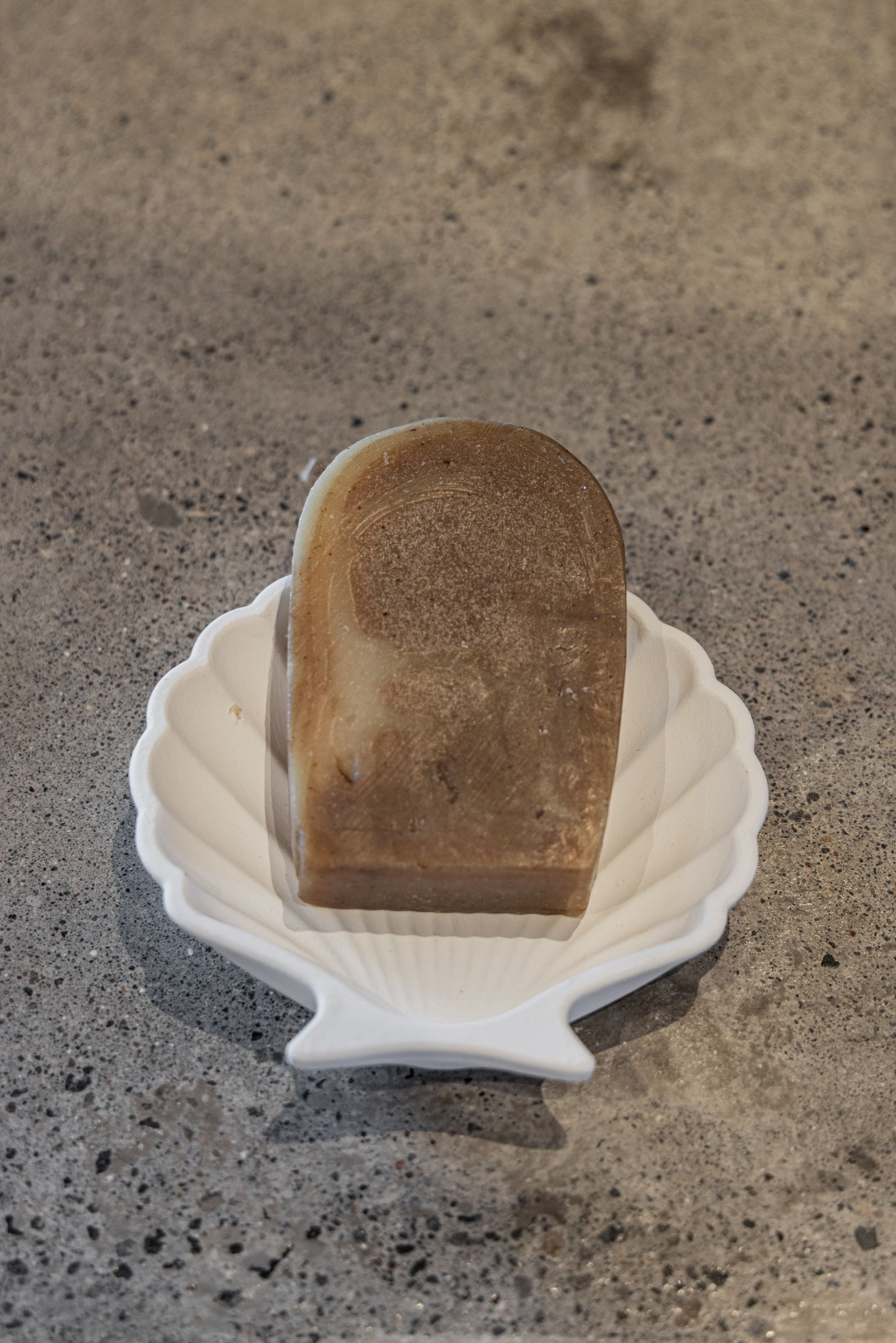Stucco Shell Trinket Tray