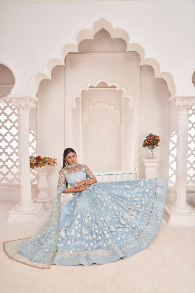 Light Sky Butterfly Net Lehenga Choli with White Thread & Zari