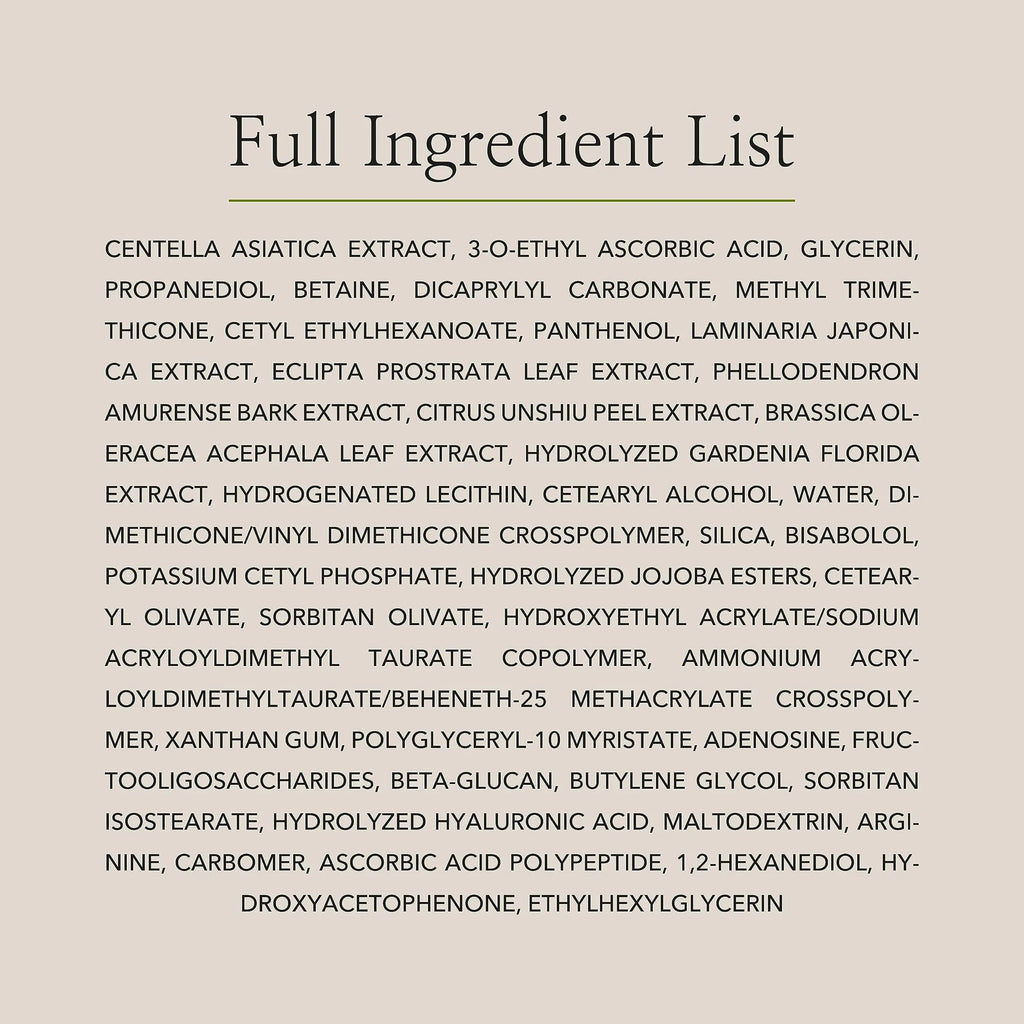 Beauty of Joseon Light On Serum Vitamin C Centella Dark Spot Fine Lines Pigmentation Correcting Serum, Hydrating Moisturizer, Korean Skin Care for Men and Women, 30ml, 1 fl.oz