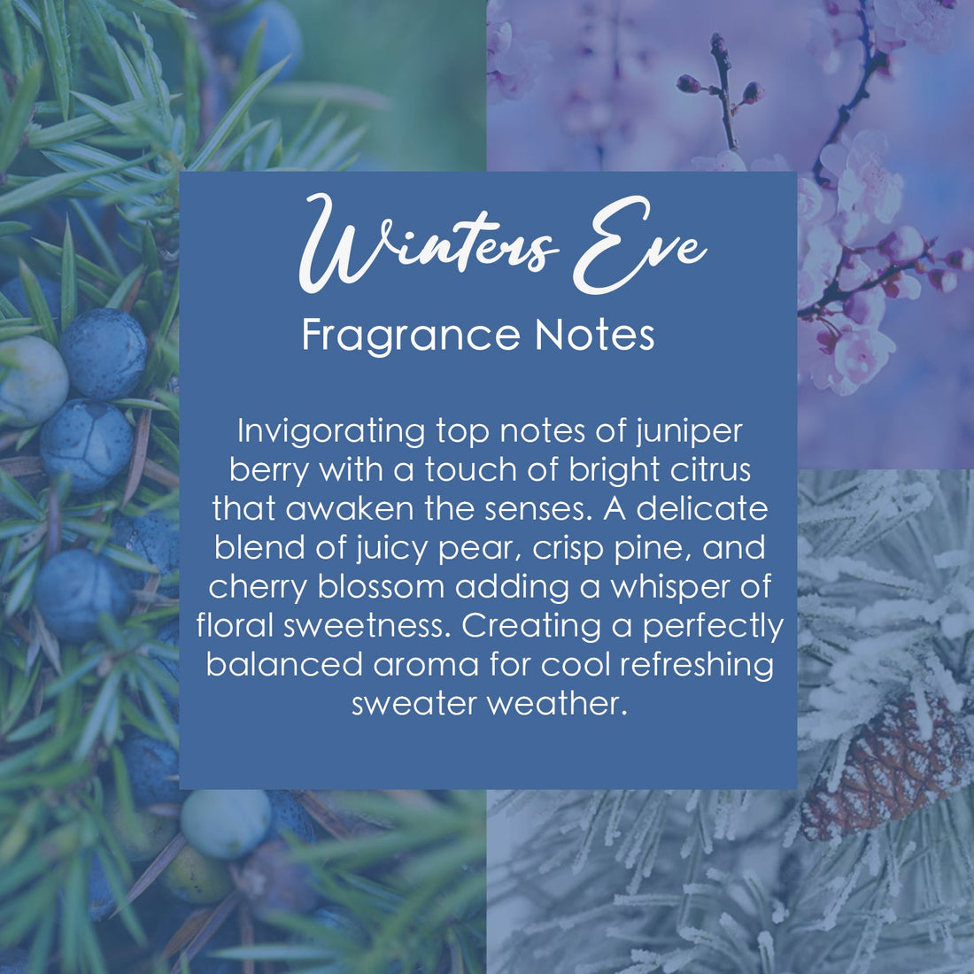 Winters Eve Crystal-Enhanced Coconut Soy Wax Melts - Image 4