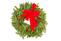 22" Decorated Evergreen Wreath | Fresh Fraser, Noble & Cedar Holiday Wreath | House Plant Shop
