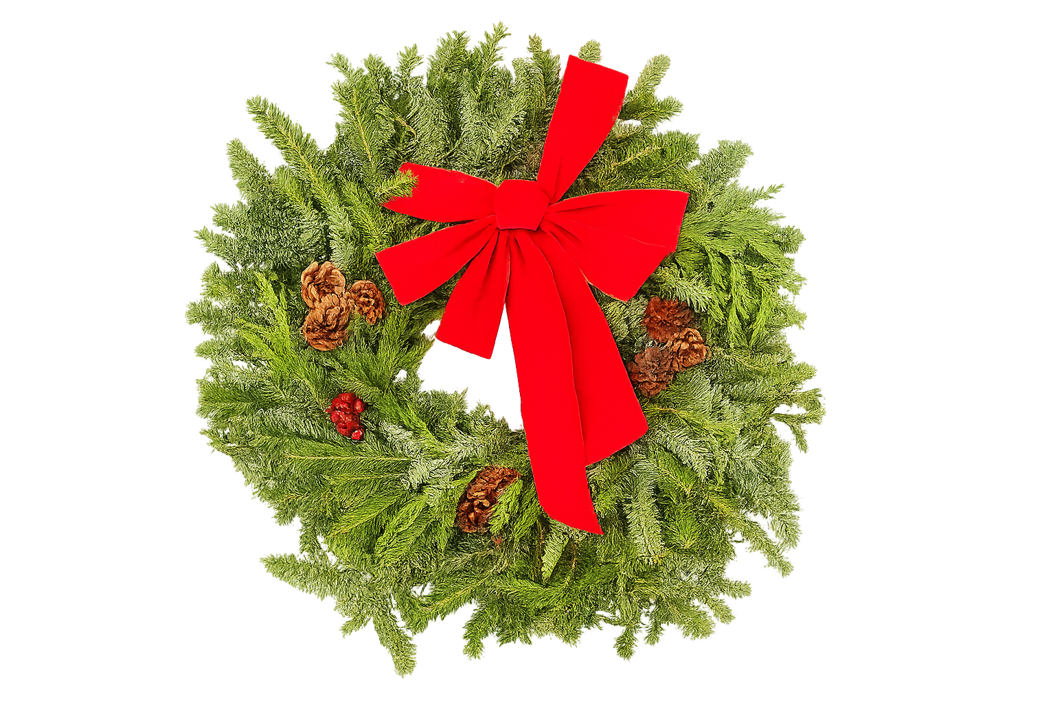 22" Decorated Evergreen Wreath | Fresh Fraser, Noble & Cedar Holiday Wreath | House Plant Shop