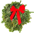 22" Fresh Fraser Fir Wreath | Fragrant Holiday Decoration | House Plant Shop