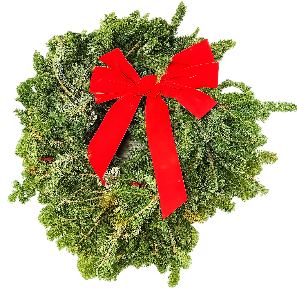 22" Fresh Fraser Fir Wreath | Fragrant Holiday Decoration | House Plant Shop