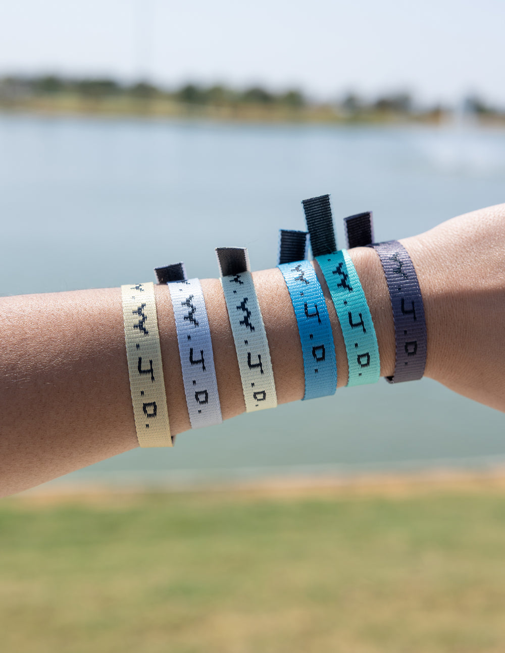 WWJD Surf Bracelet Pack Adjustable Woven Wristbands 6-Piece Set