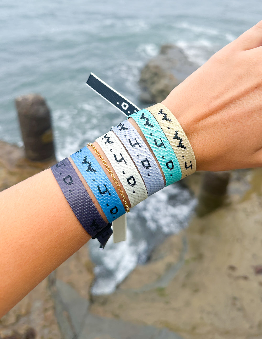 WWJD Surf Bracelet Pack Adjustable Woven Wristbands 6-Piece Set