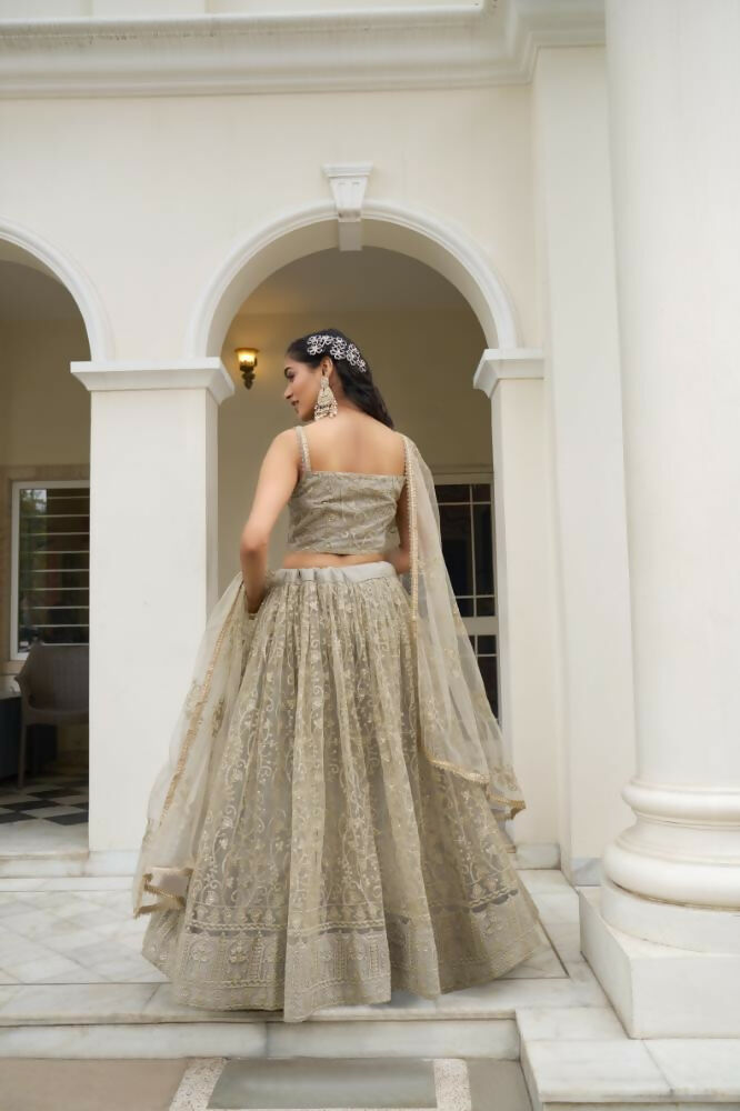 Ivory Butterfly Net Lehenga Choli with Tone-to-Tone Embroidery
