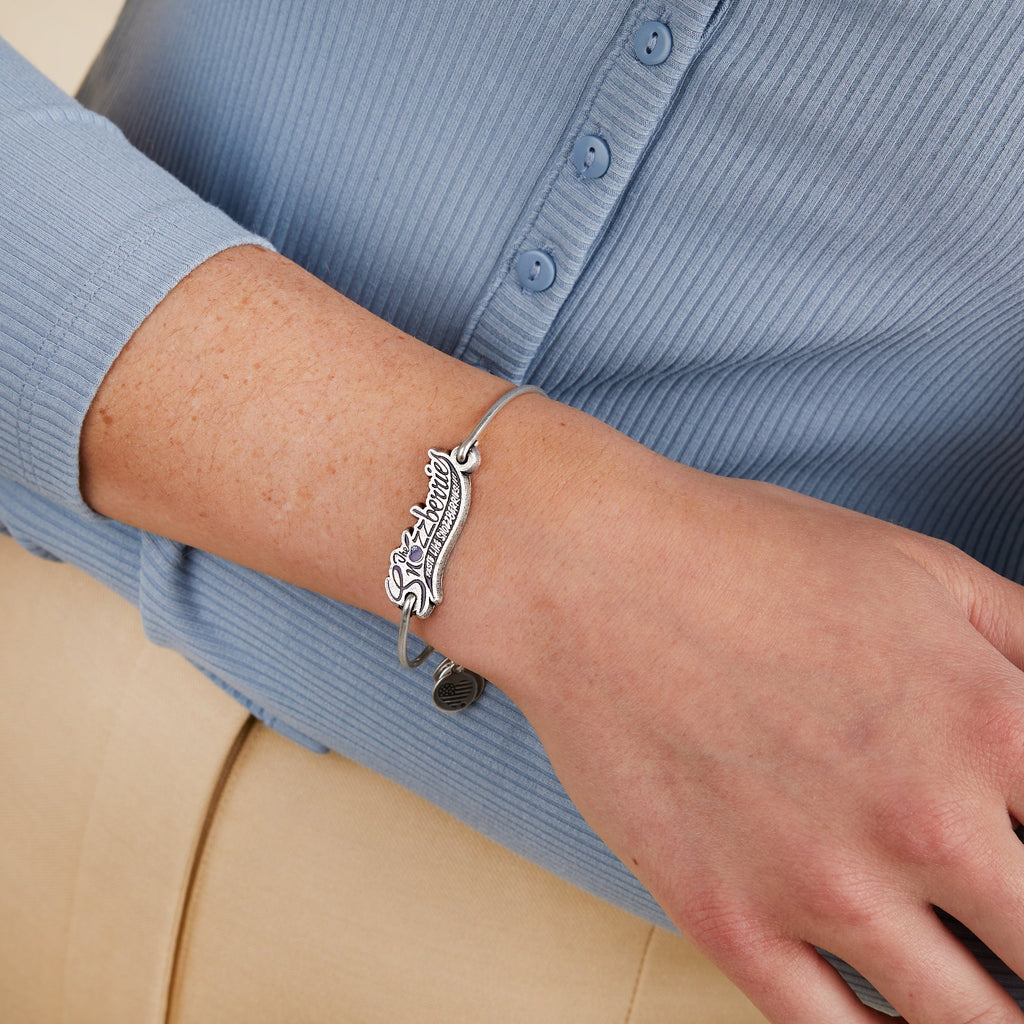 Willy Wonka Snozzberries Inline Charm Bangle in Silver Tone