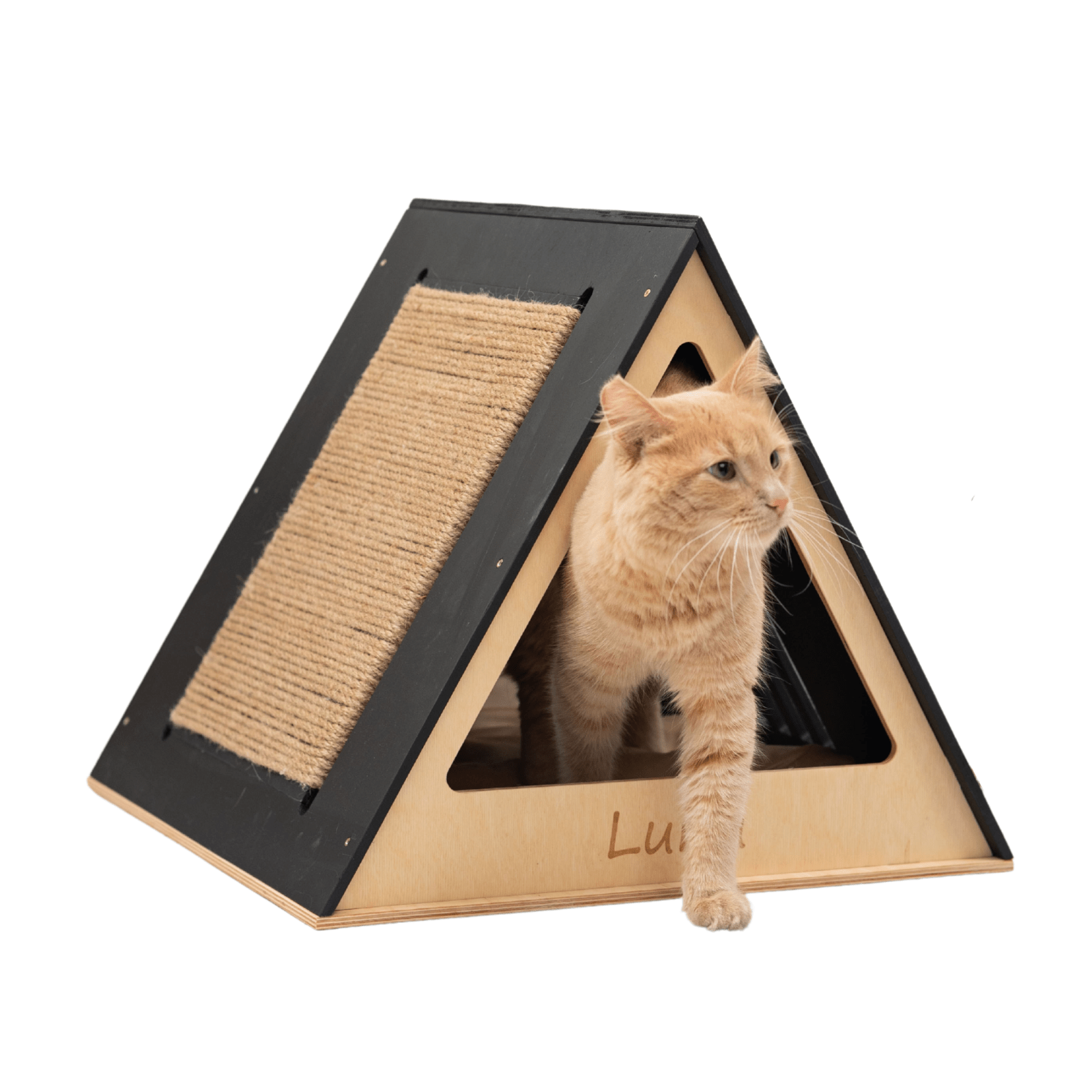 Modern black wooden cat house for indoor home decor