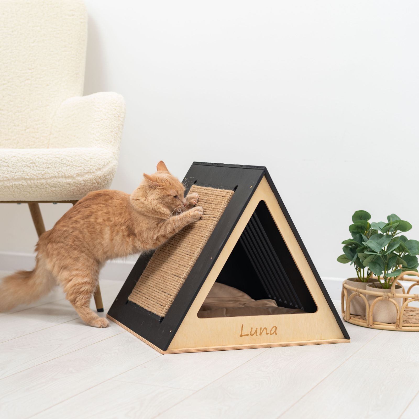 Stylish Wooden Cat House - Modern Black Enclosed Pet Furniture