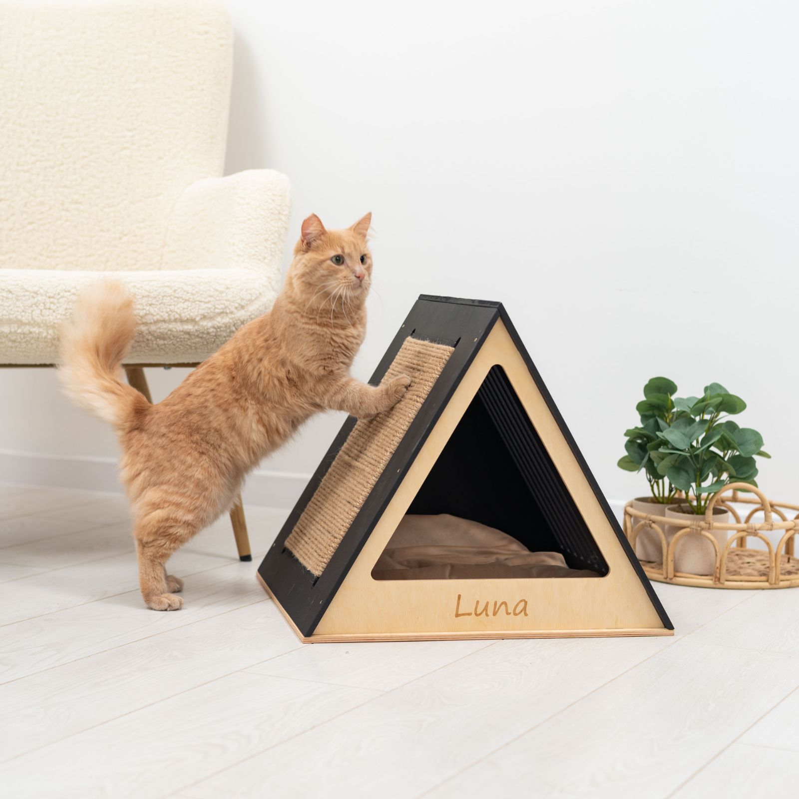 Stylish Wooden Cat House - Modern Black Enclosed Pet Furniture
