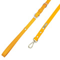 Sunflower Cactus Leash