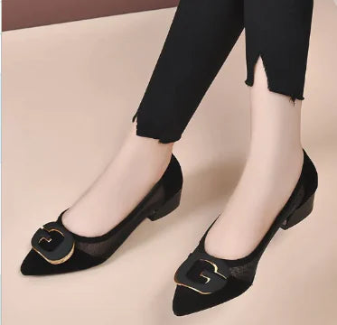 A pair of black women's mesh low heels with a pointed toe and decorative gold-accented buckle