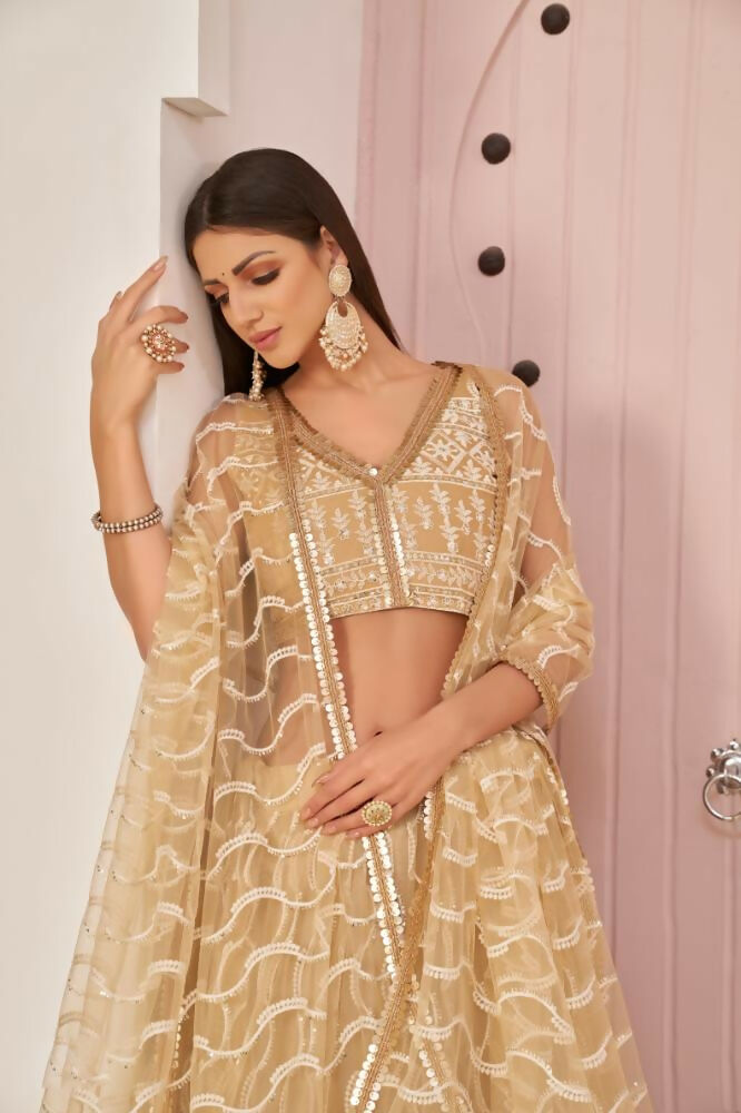 Beige Chiku Butterfly Net Lehenga with Zari and Sequence Work