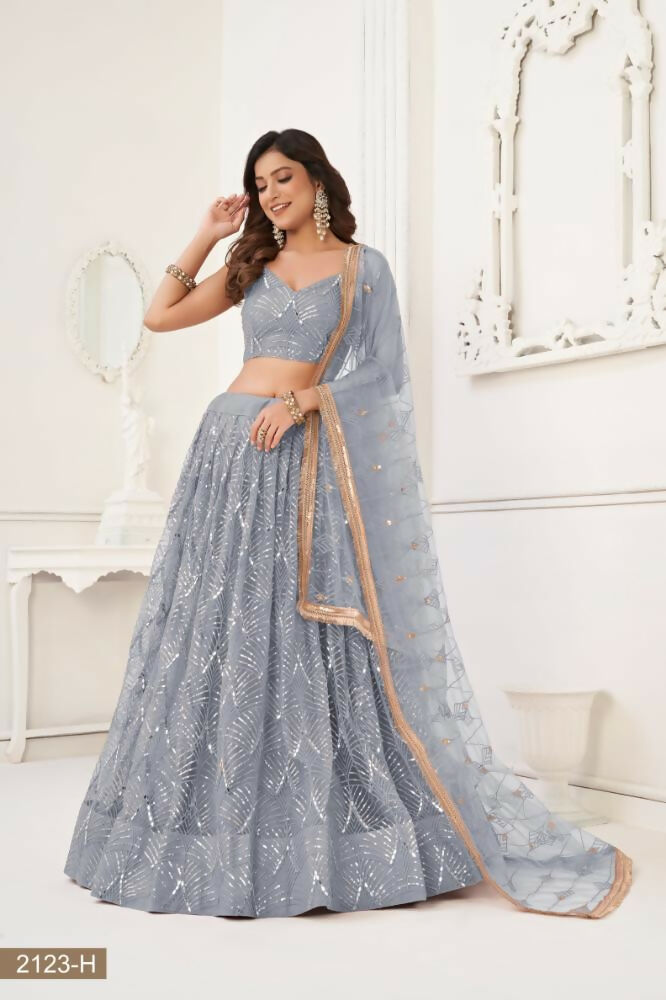 Light Gray Butterfly Net Lehenga with Mirror and Sequence Work