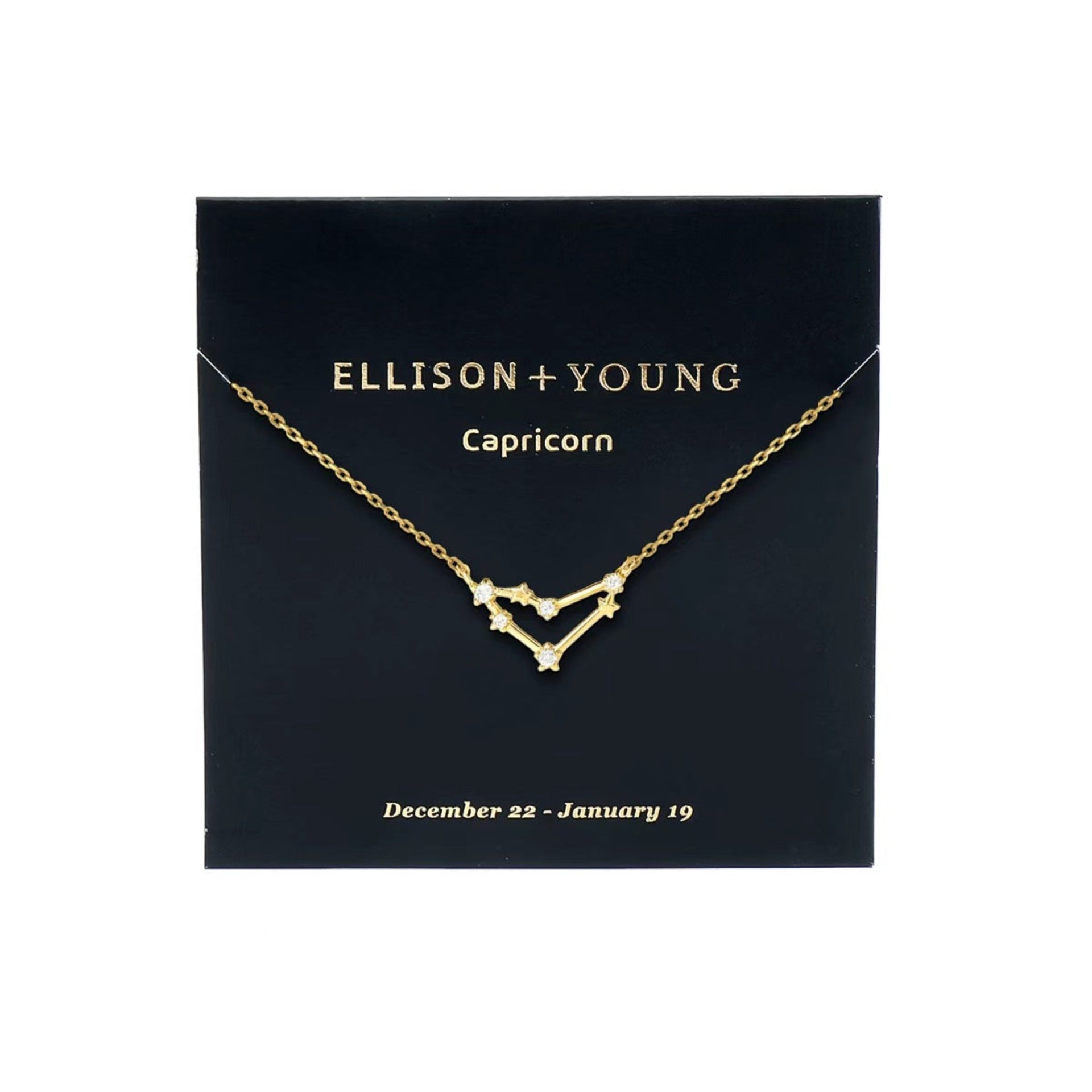 Zodiac Collection Necklace