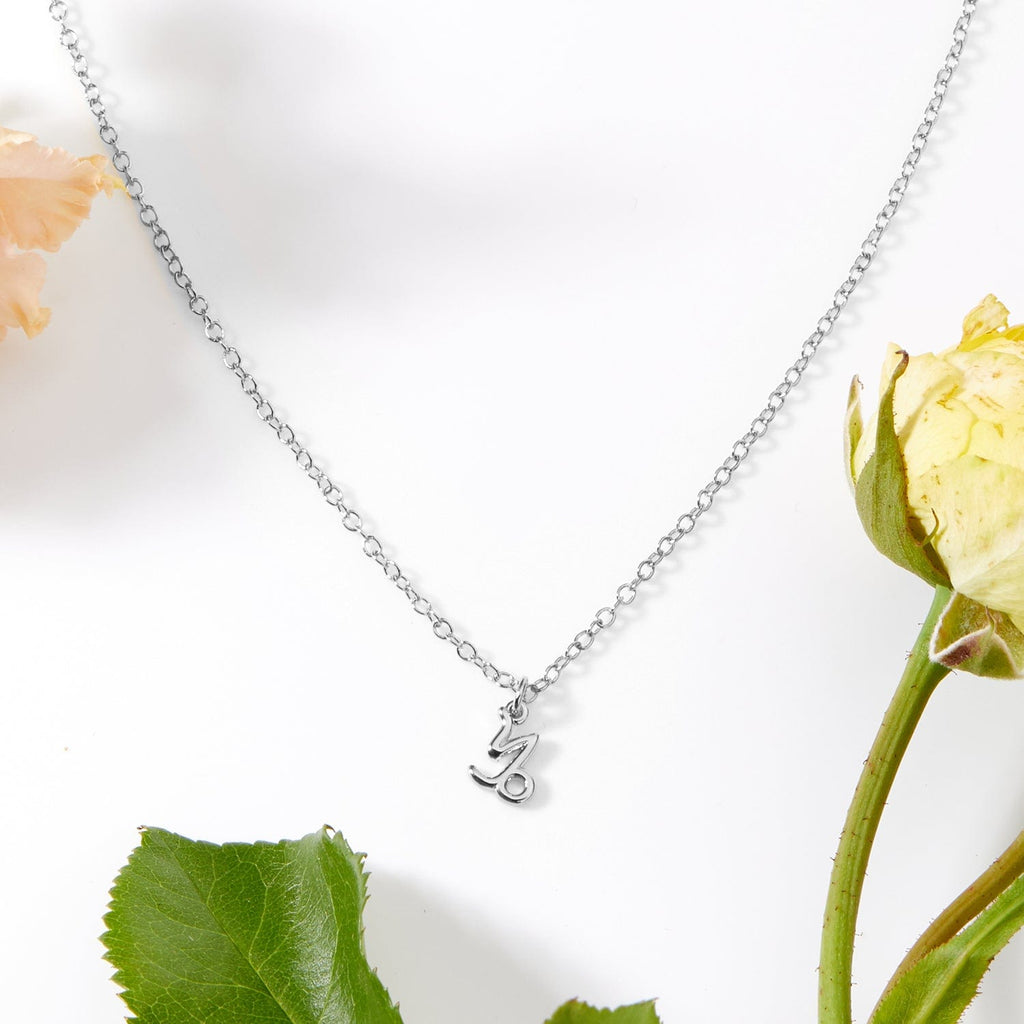 January 5th Capricorn Necklace