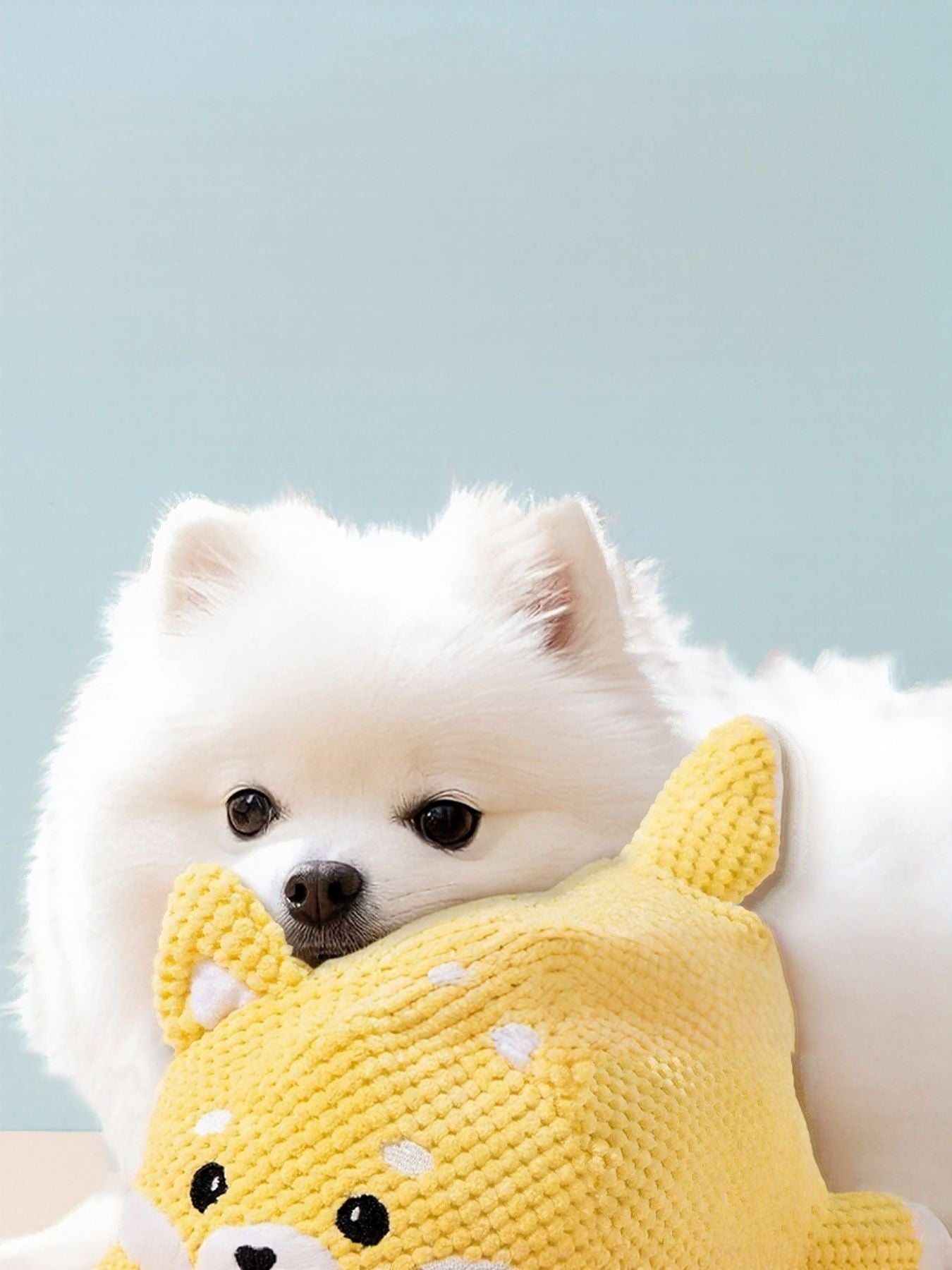 a0a1dd87-9842-403a-95f5-e88fcee1ae30-Max