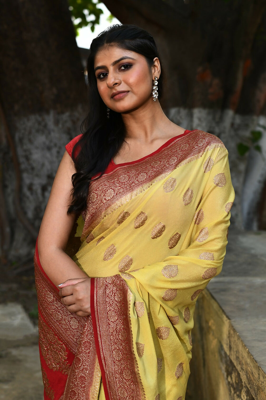 Pale Yellow Crepe Chiffon Banarasi Silk Handloom Saree