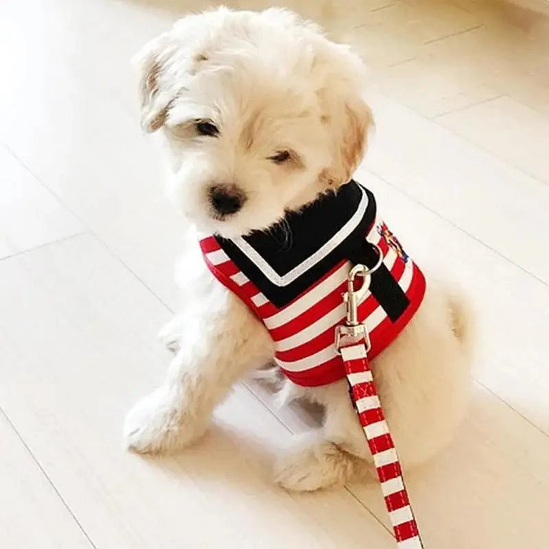 Navy suit-style adjustable dog harness with matching leash for small and medium pets