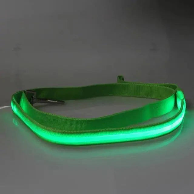 Adjustable Pet Car Seat Belt Lead with Removable Bowtie - Unisex