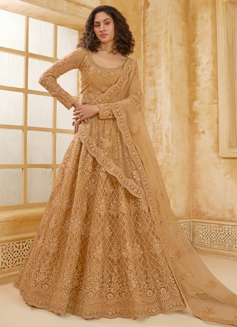 Beige net lehenga set with intricate embroidery detailing