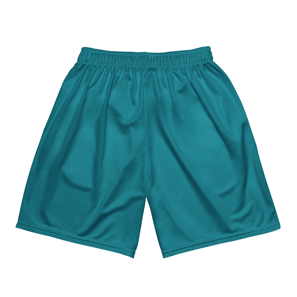 Combo Hoop Boys mesh shorts