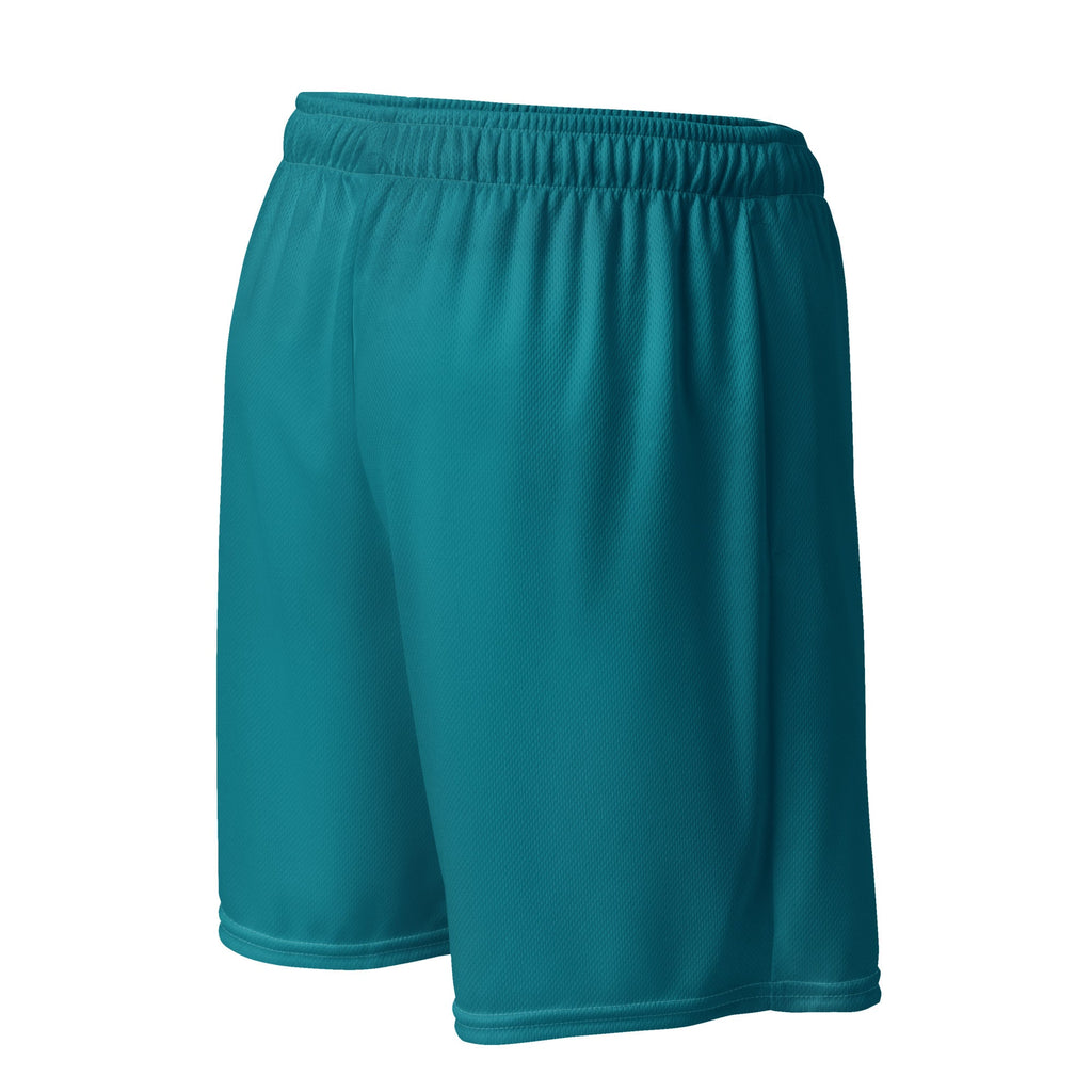 Combo Hoop Boys mesh shorts