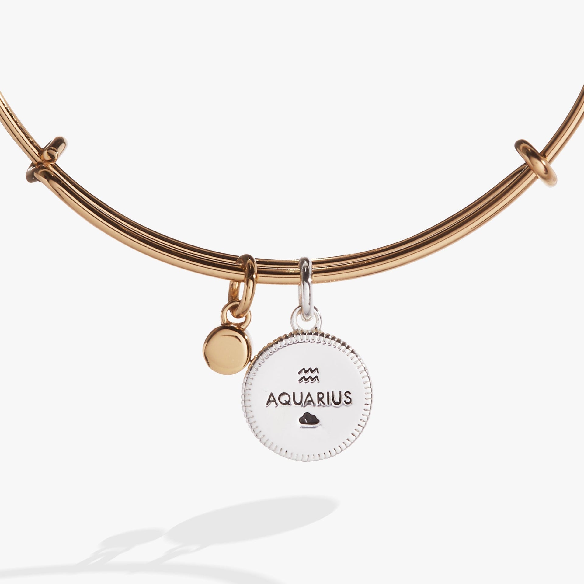 Aquarius Zodiac Constellation Expandable Charm Bangle
