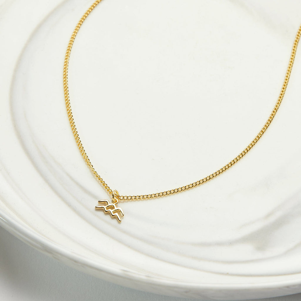 Aquarius  Zodiac Gift Necklace