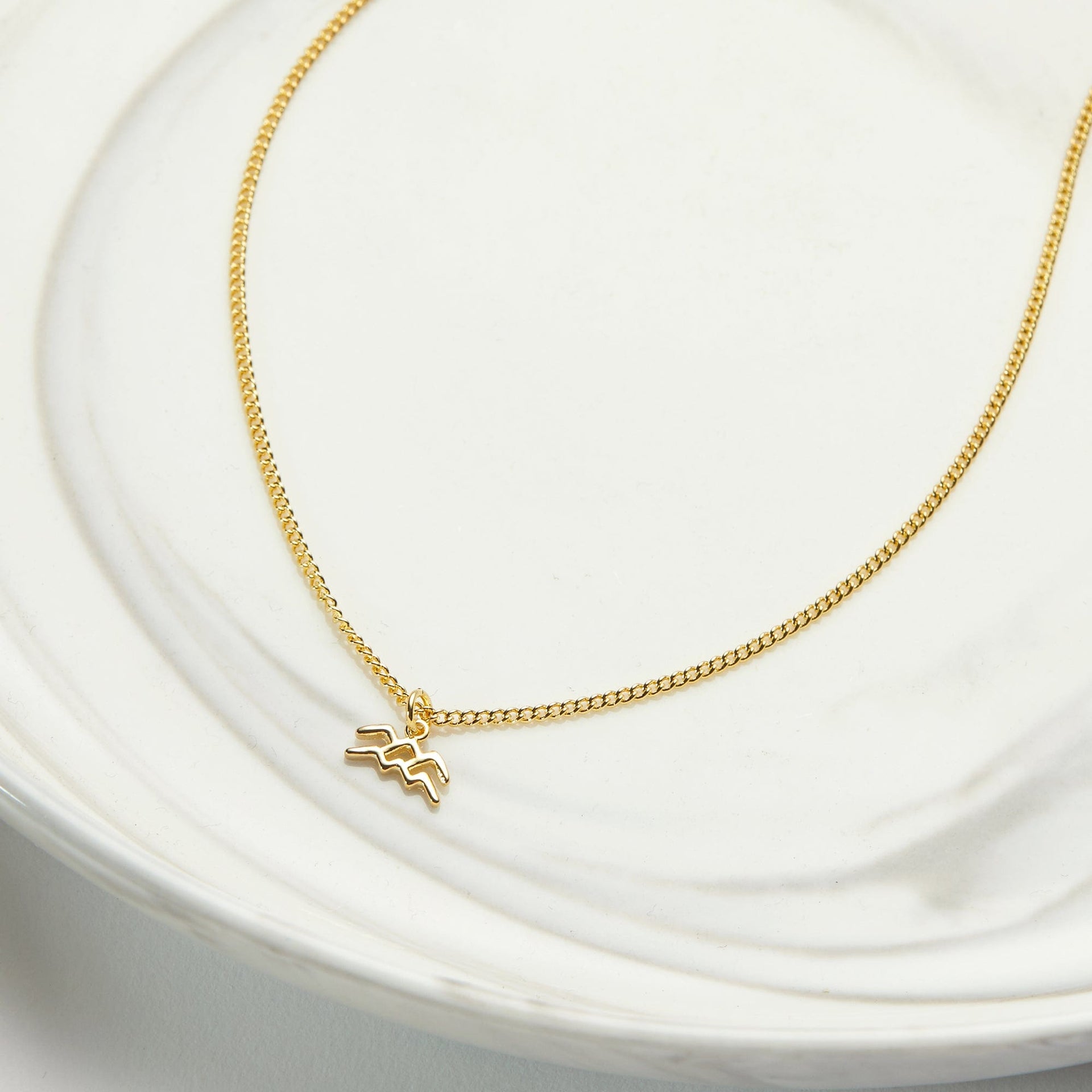 Aquarius  Zodiac Gift Necklace