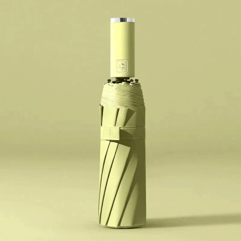 Auto-Open Umbrella